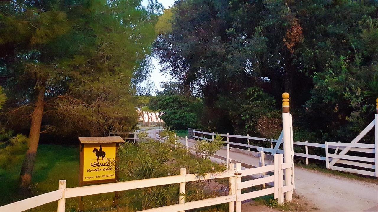 פרג'נה B&B Villa Jasiga מראה חיצוני תמונה
